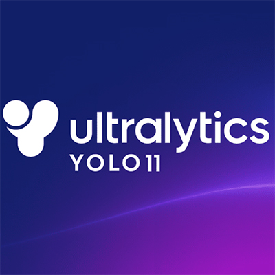 YOLO Detection Visualization